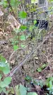 Захоронение ID 1281126