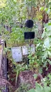 Захоронение ID 1281154