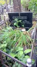 Захоронение ID 1281157
