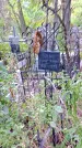 Захоронение ID 1281161