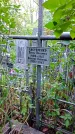 Захоронение ID 1281167