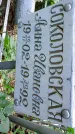 Захоронение ID 1281170