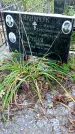 Захоронение ID 1281179
