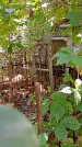 Захоронение ID 1281237