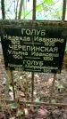 Захоронение ID 1281238