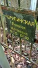Захоронение ID 1281240