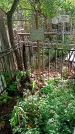 Захоронение ID 1281251