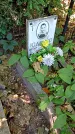 Захоронение ID 1281261