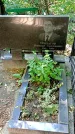 Захоронение ID 1281296