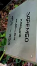 Захоронение ID 1281310
