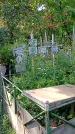 Захоронение ID 1281330