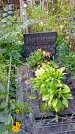 Захоронение ID 1281333