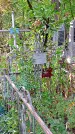 Захоронение ID 1281335