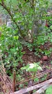 Захоронение ID 1281348