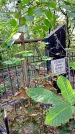 Захоронение ID 1281366