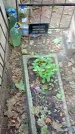 Захоронение ID 1281367