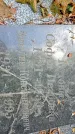 Захоронение ID 1281421