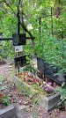 Захоронение ID 1281446