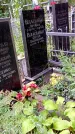 Захоронение ID 1281485