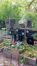 Захоронение ID 1281552