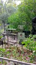 Захоронение ID 1281557
