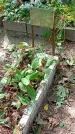 Захоронение ID 1281559