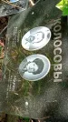 Захоронение ID 1281565