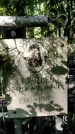 Захоронение ID 1281683