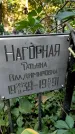 Захоронение ID 1281730