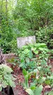 Захоронение ID 1281759