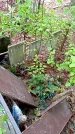 Захоронение ID 1281767