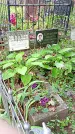Захоронение ID 1281773