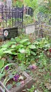 Захоронение ID 1281775