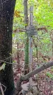 Захоронение ID 1281776