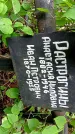 Захоронение ID 1281780