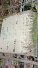 Захоронение ID 1281782