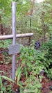 Захоронение ID 1281787