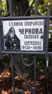 Захоронение ID 1281812