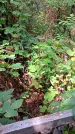 Захоронение ID 1281823