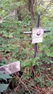 Захоронение ID 1281824
