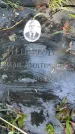 Захоронение ID 1281838