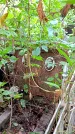 Захоронение ID 1281845