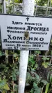 Захоронение ID 1281862