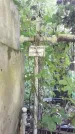 Захоронение ID 1281879
