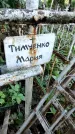 Захоронение ID 1281870