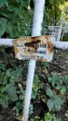 Захоронение ID 1281871