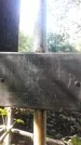Захоронение ID 1281889