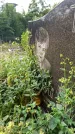 Захоронение ID 1281925