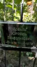 Захоронение ID 1281935