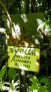 Захоронение ID 1281956